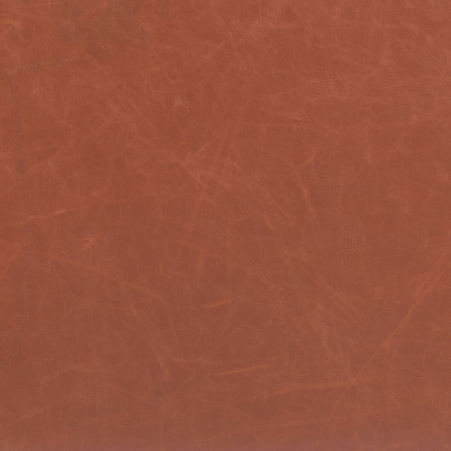 Horbat Barstool (Set of 2) Brown - Disselt Designs