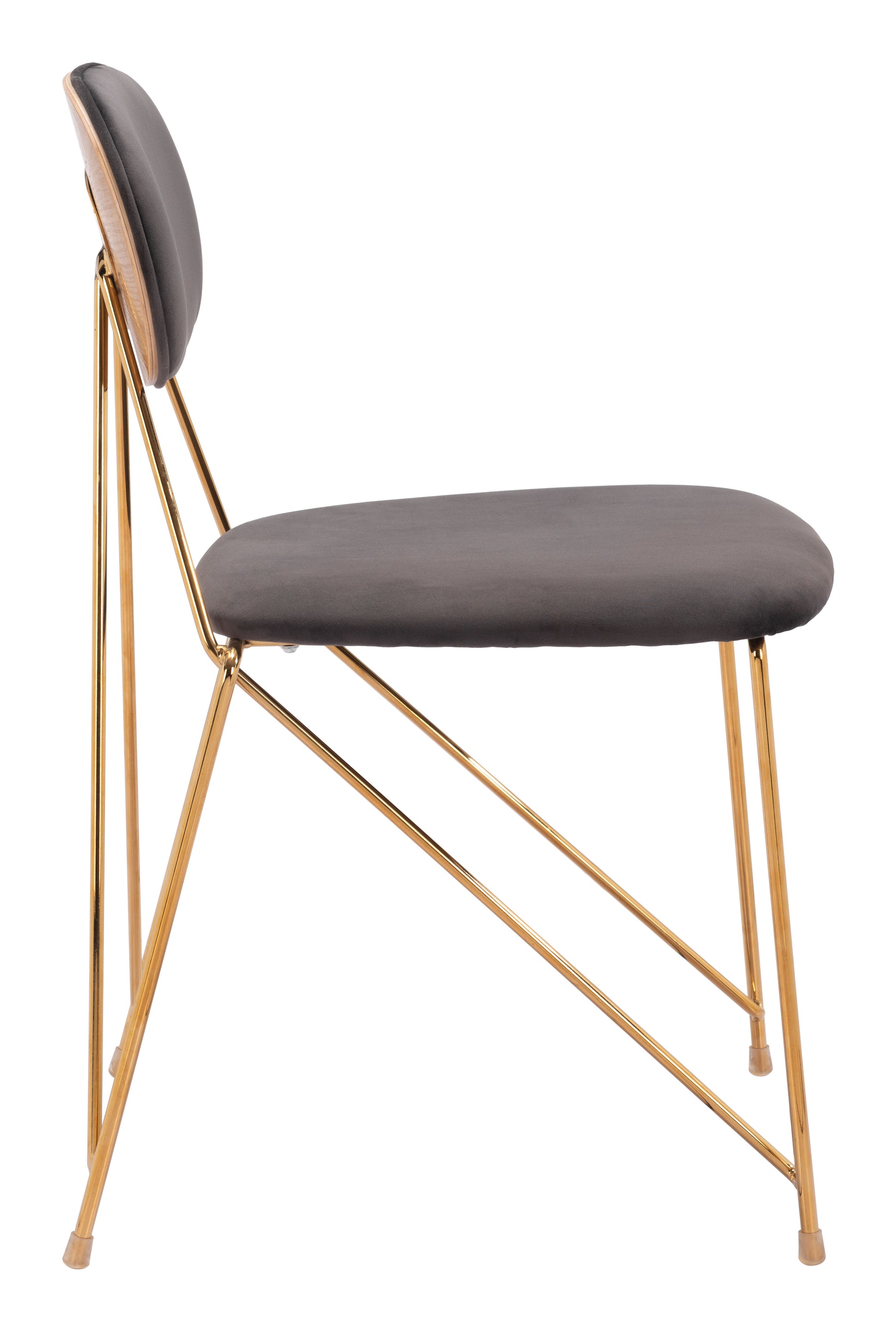 Georges Dining Chair (Set of 2) Gray & Gold - Disselt Designs