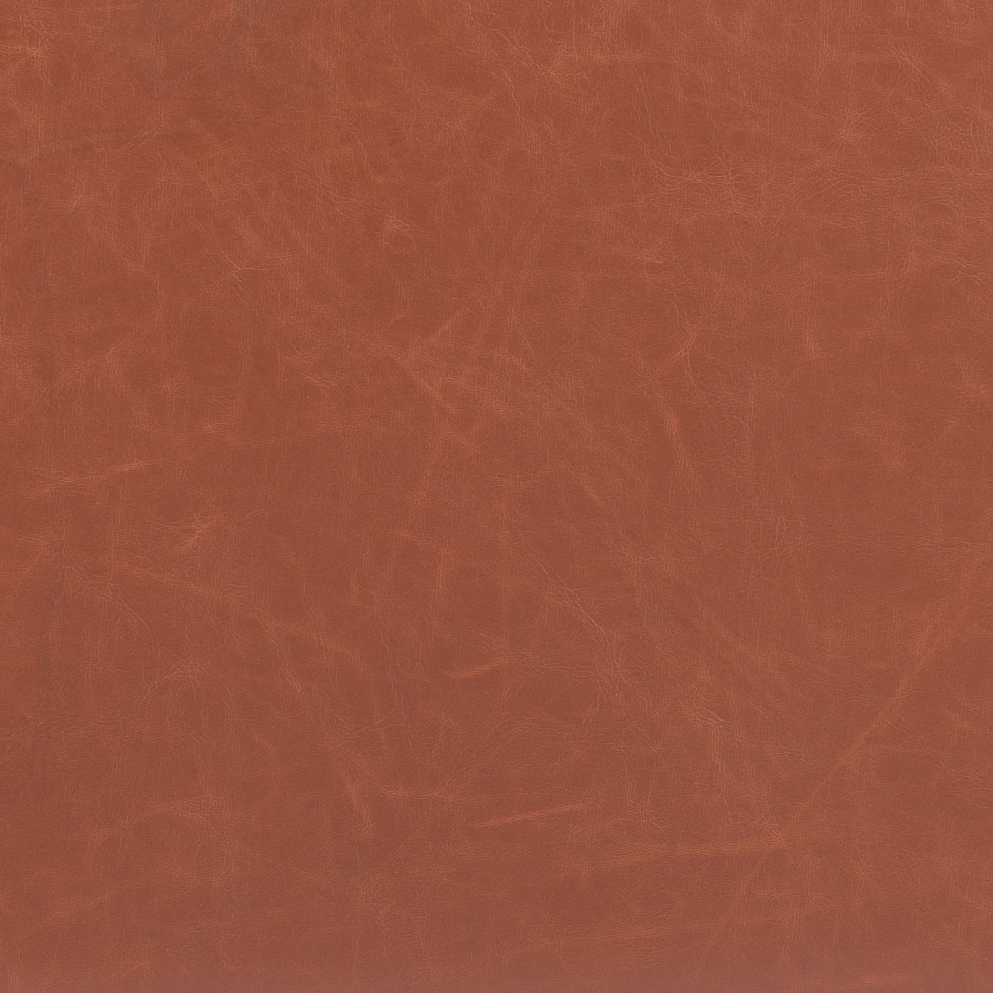 Pago Barstool (Set of 2) Brown - Disselt Designs