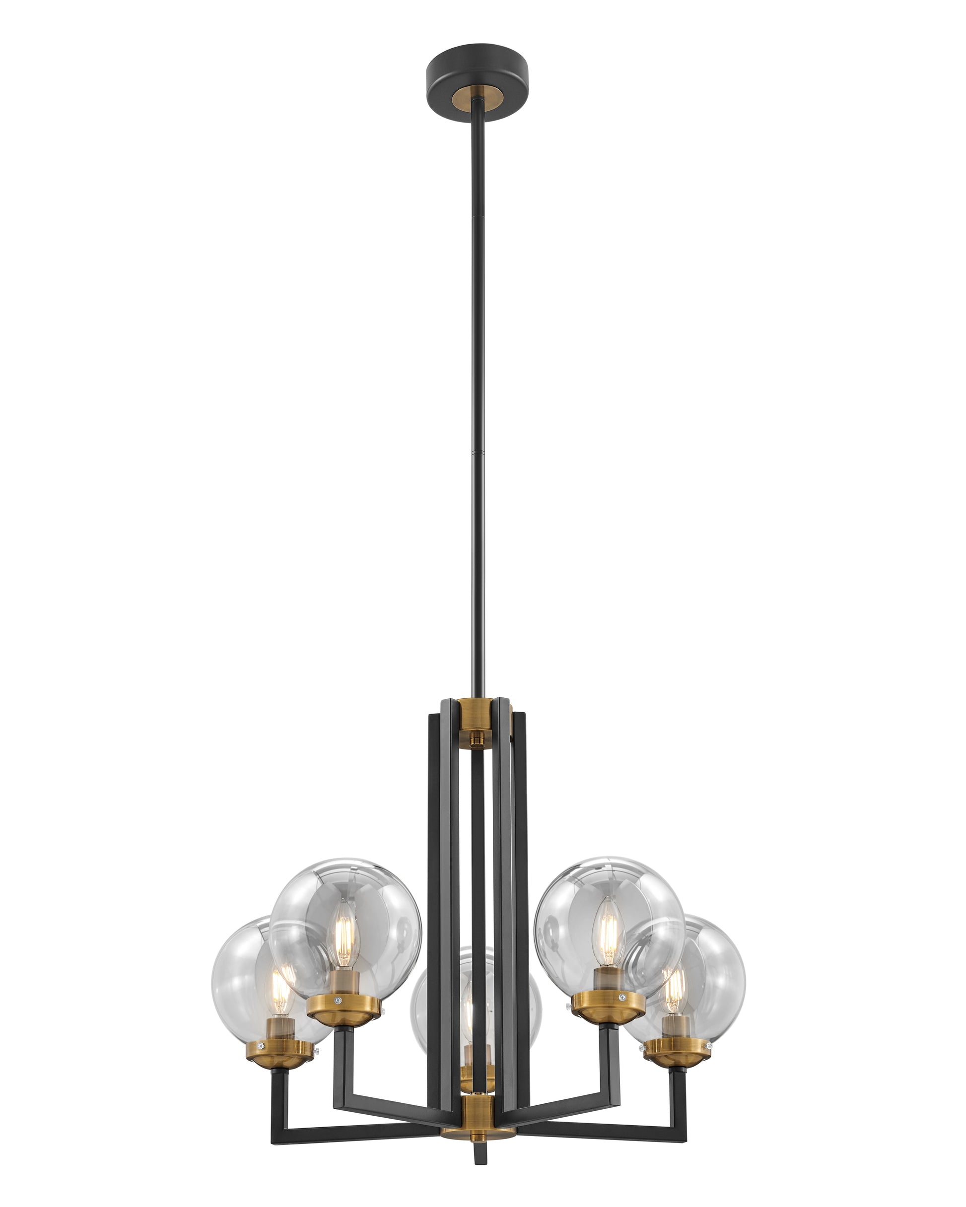 Monachopsis Small Chandelier // Gold and Black - Disselt Designs