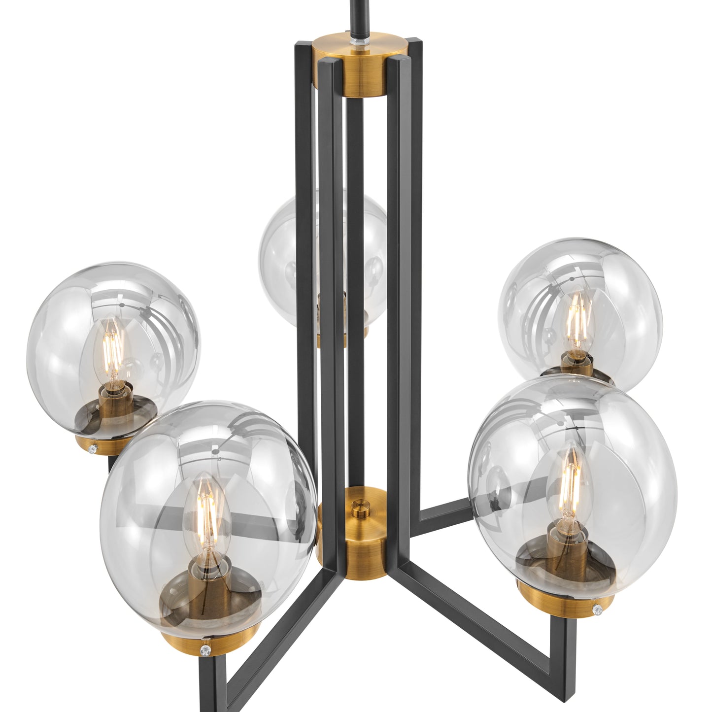 Monachopsis Small Chandelier // Gold and Black - Disselt Designs