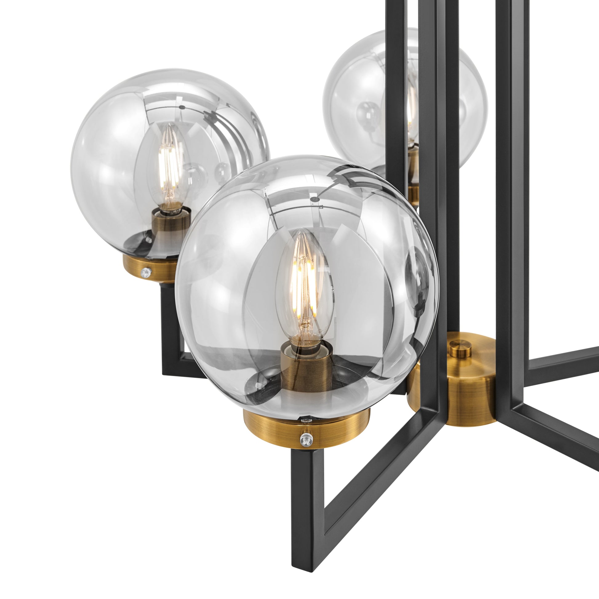 Monachopsis Small Chandelier // Gold and Black - Disselt Designs