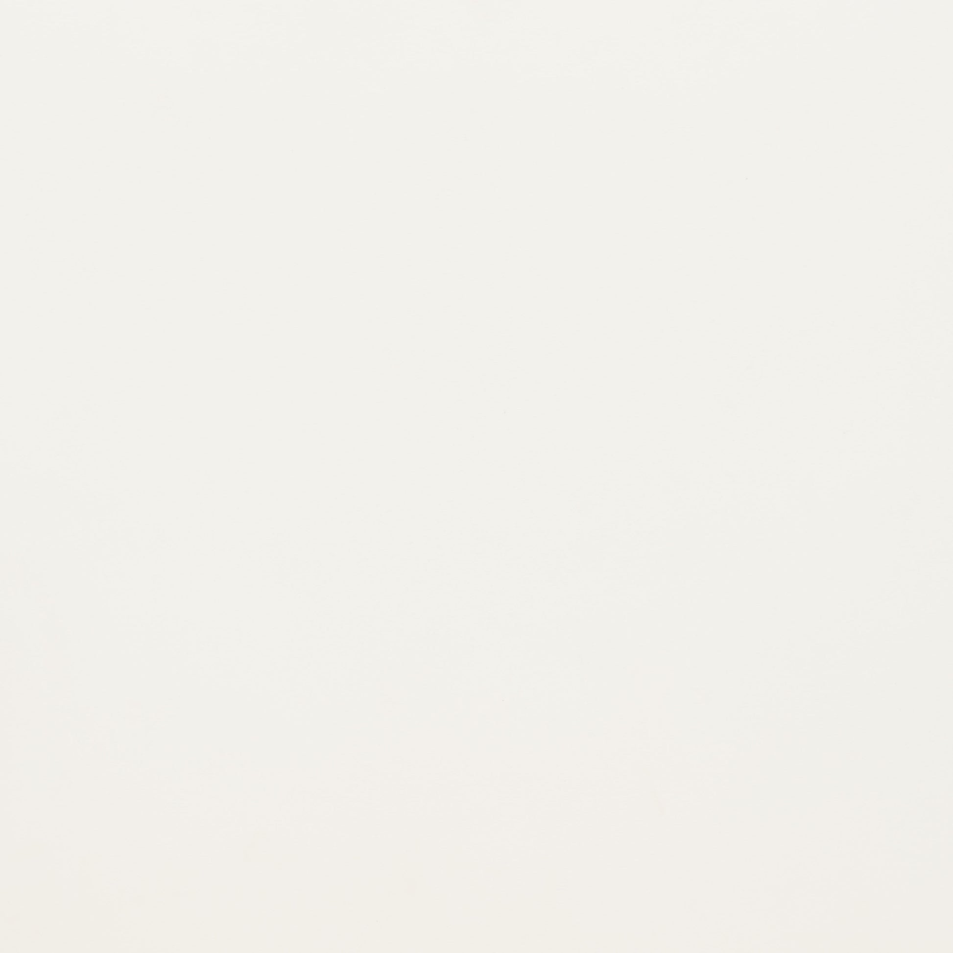 Sibu Dining Chair Cream - Disselt Designs