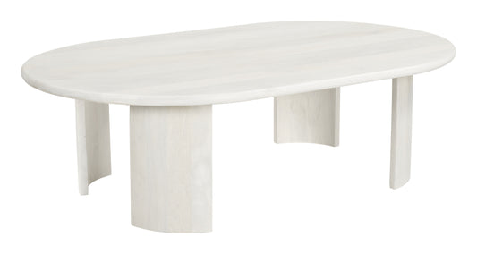 Risan Coffee Table Whitewashed - Disselt Designs