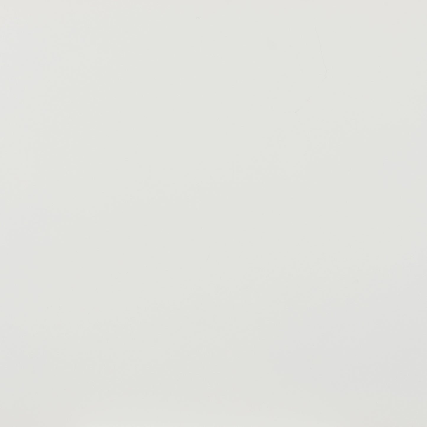 Zeilen Dining Chair (Set of 2) White - Disselt Designs