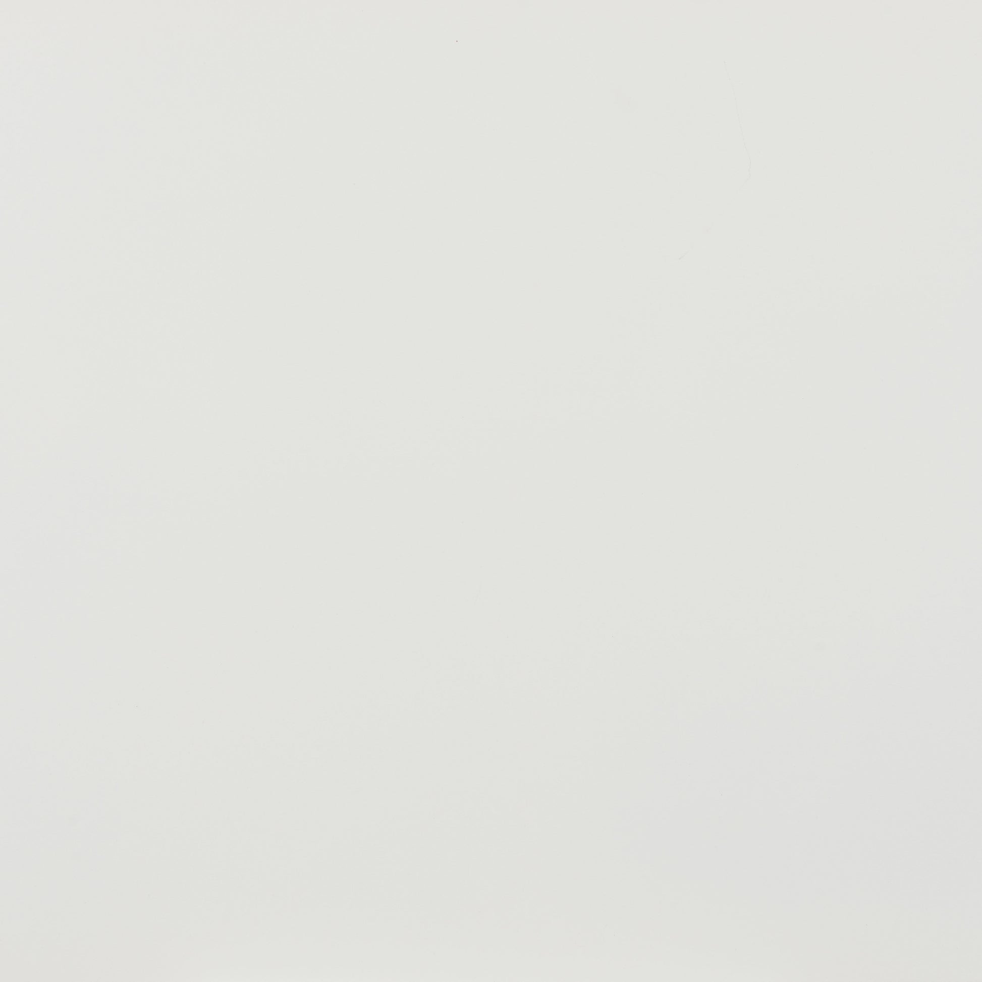 Zeilen Dining Chair (Set of 2) White - Disselt Designs