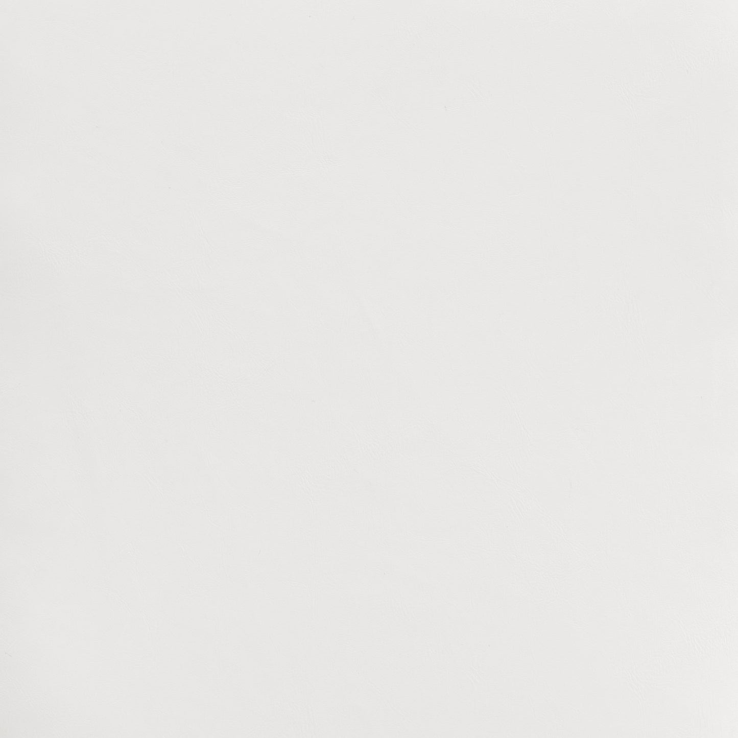 Miguel Dining Chair (Set of 2) White - Disselt Designs