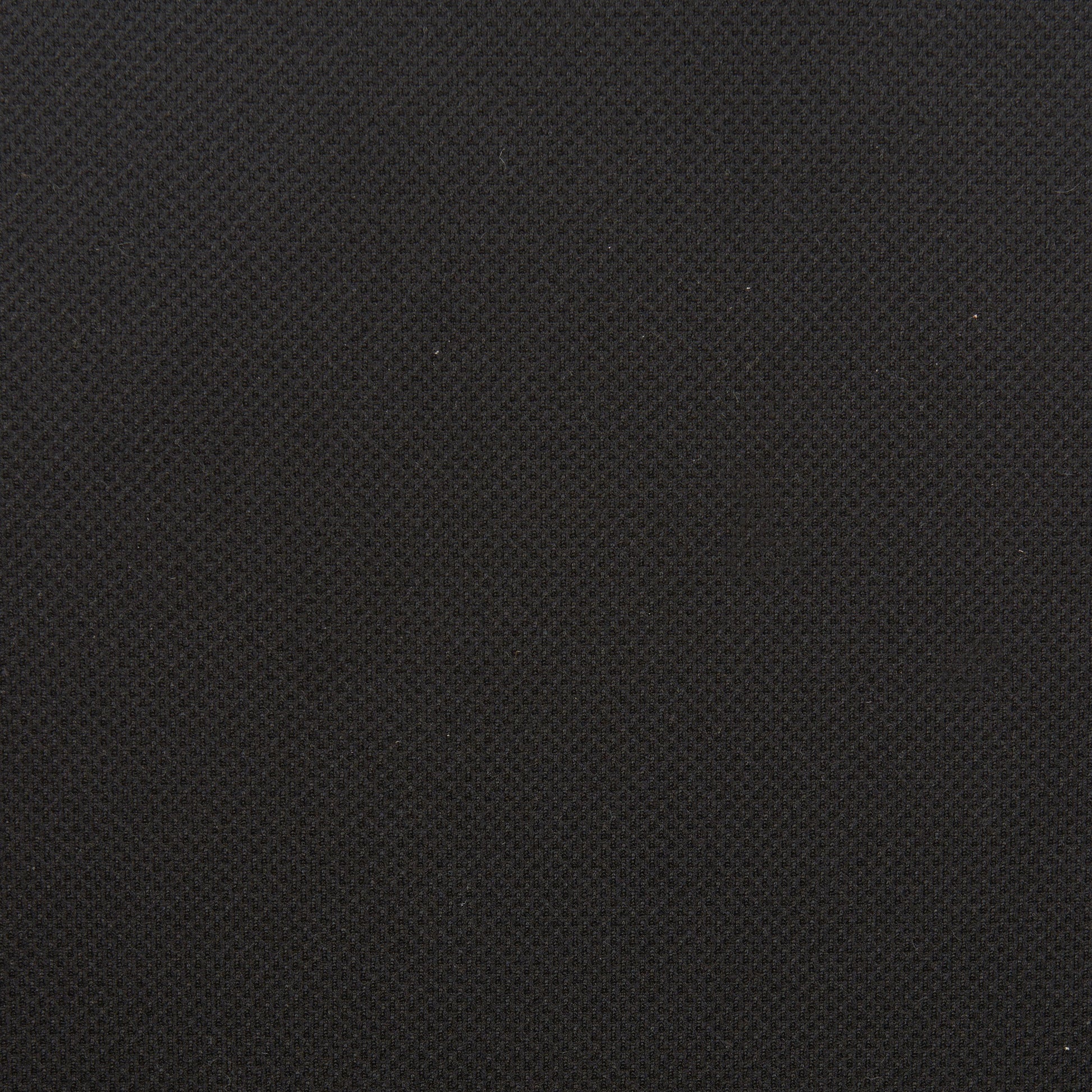 Hasso Office Chair Black - Disselt Designs