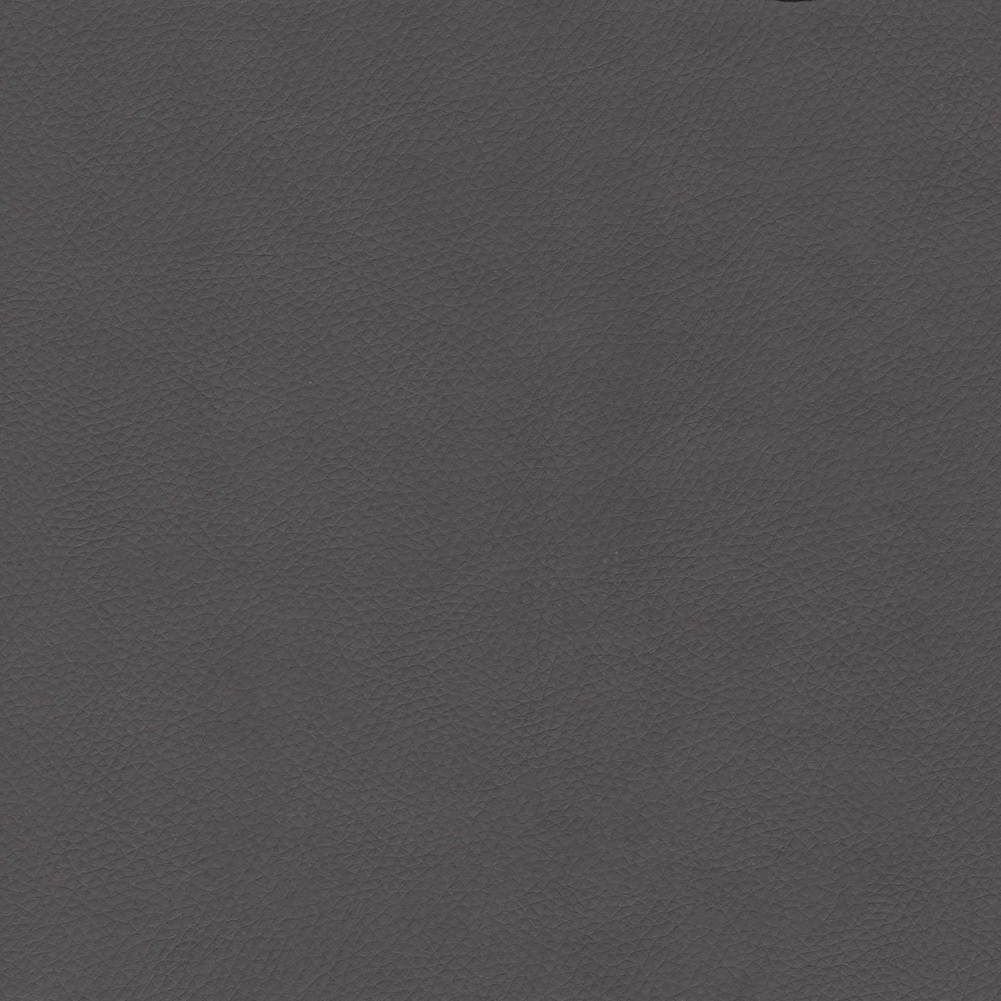 Maxine Dining Chair Gray & Gold - Disselt Designs