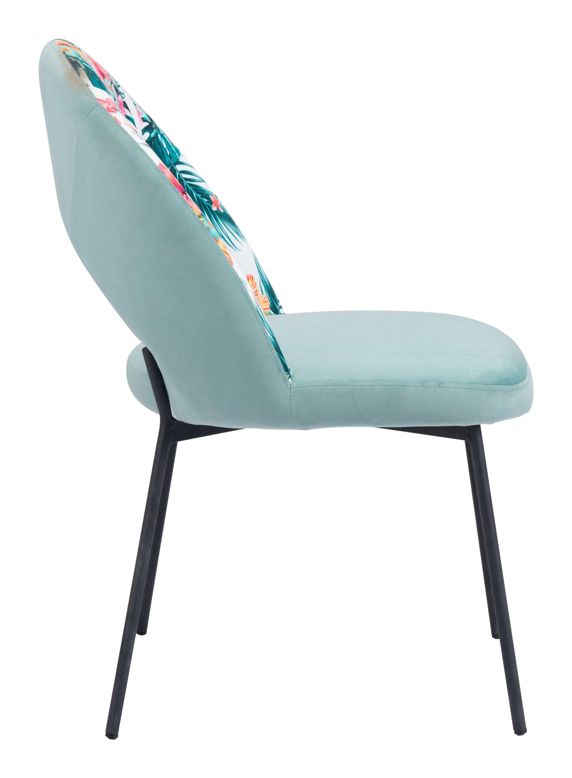 Bethpage Dining Chair (Set of 2) Multicolor Print & Green - Disselt Designs