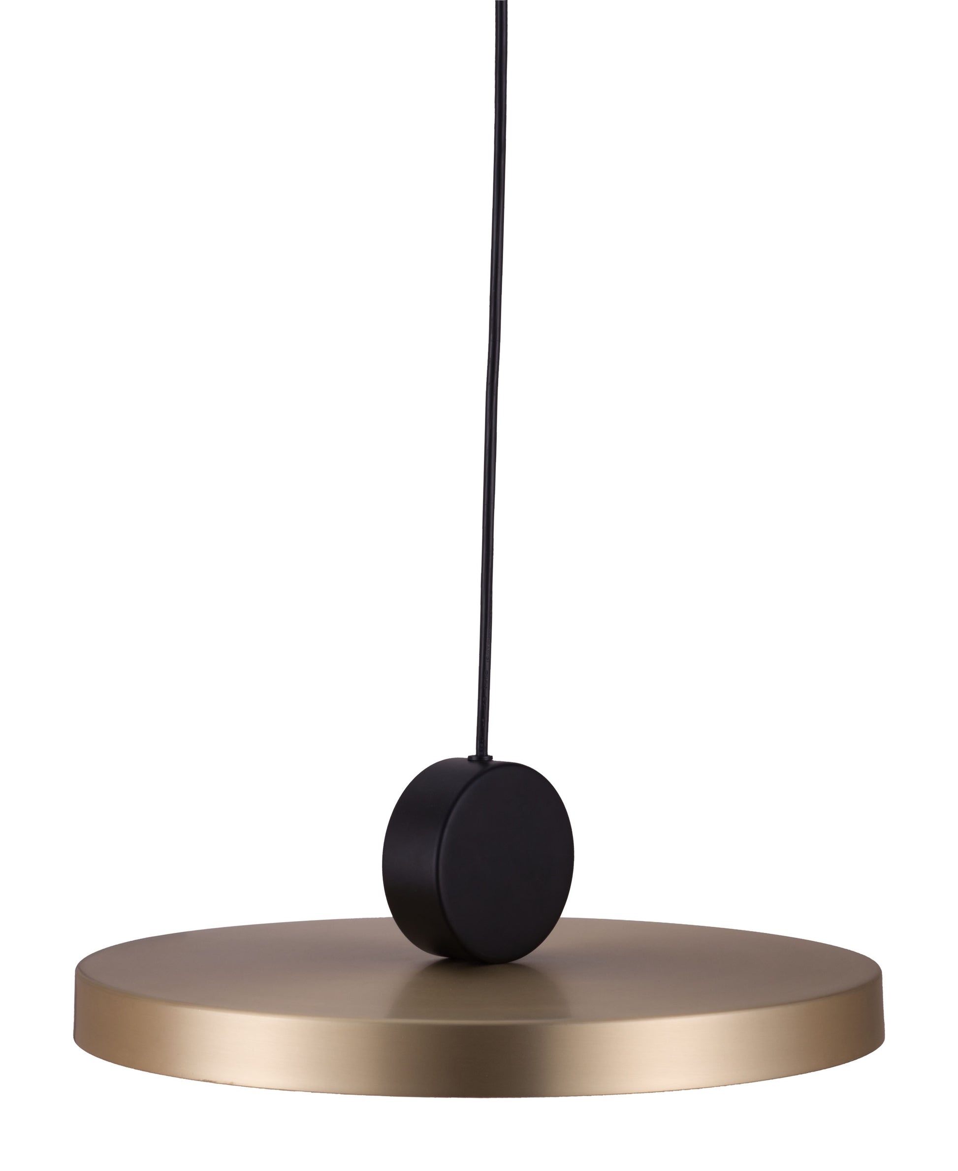 Mozu Ceiling Lamp Gold & Black - Disselt Designs