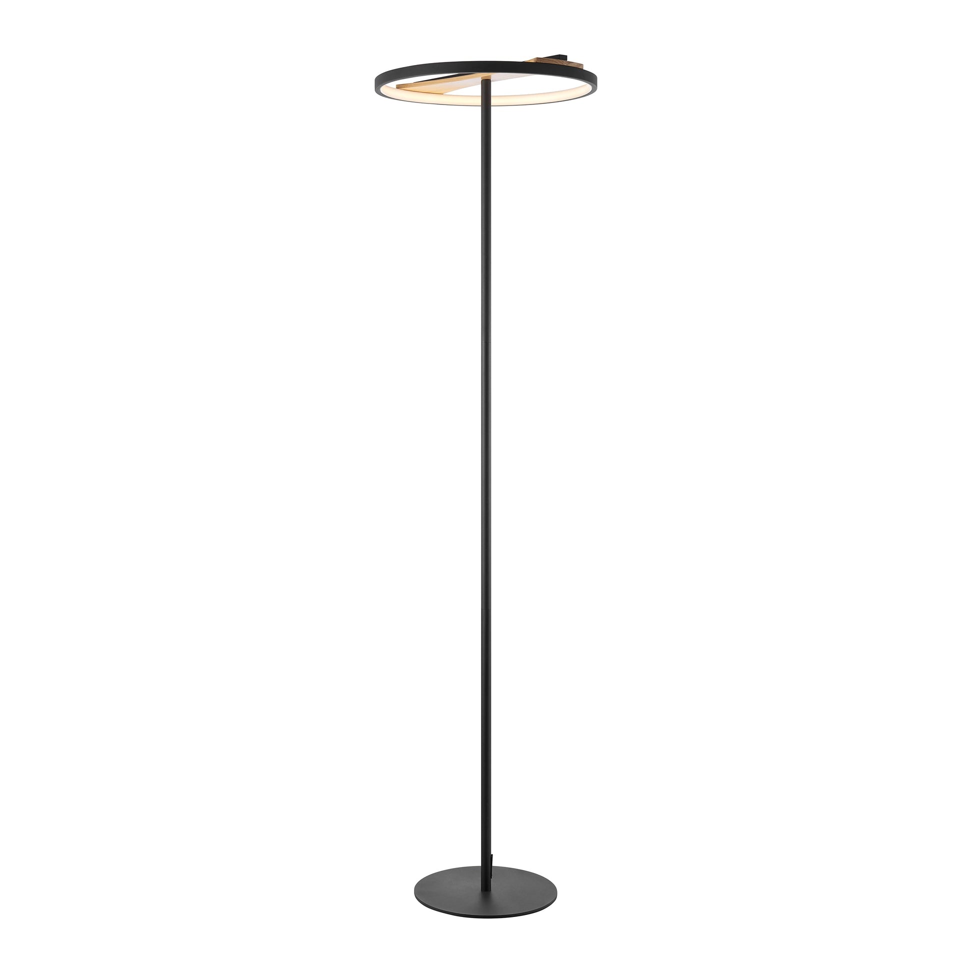Floor Lamp Satin Black Iron & Wood - Disselt Designs