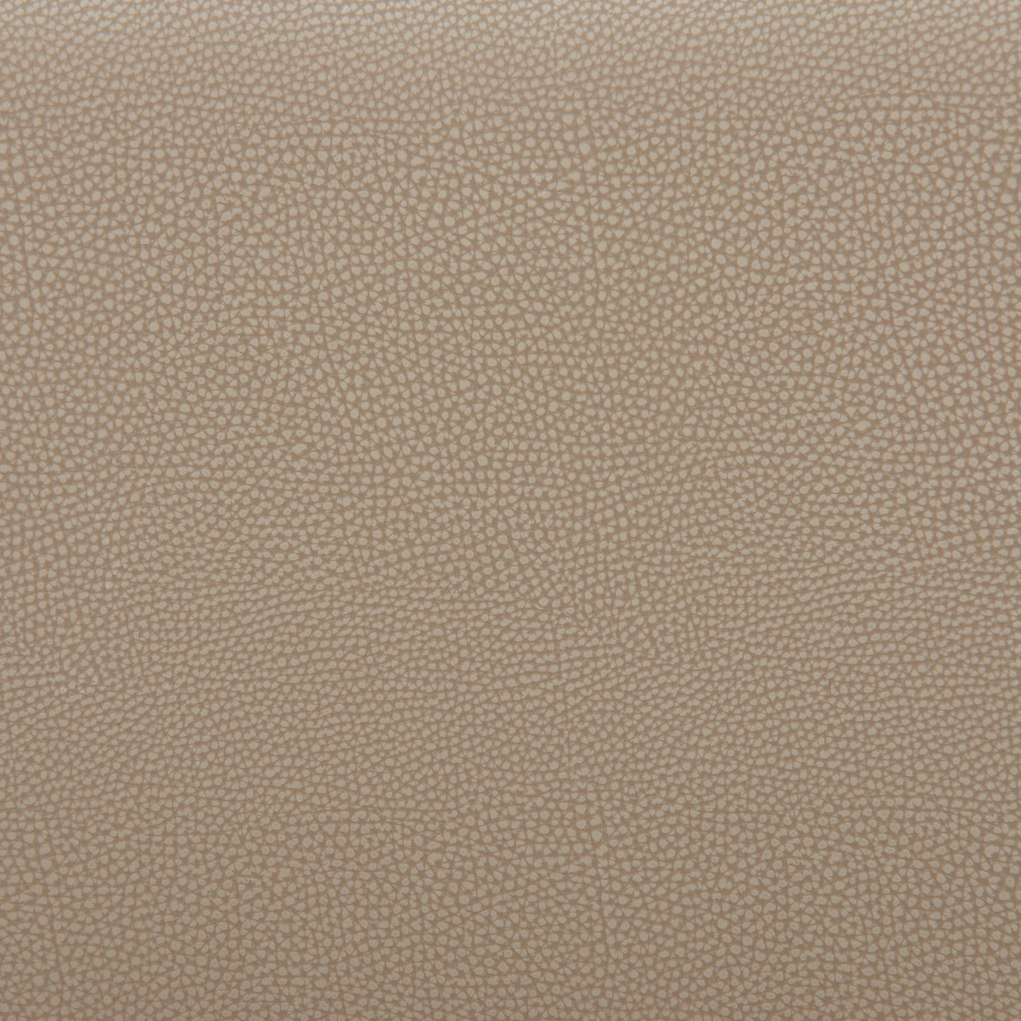 Divat Counter Stool (Set of 2) Beige & Walnut - Disselt Designs