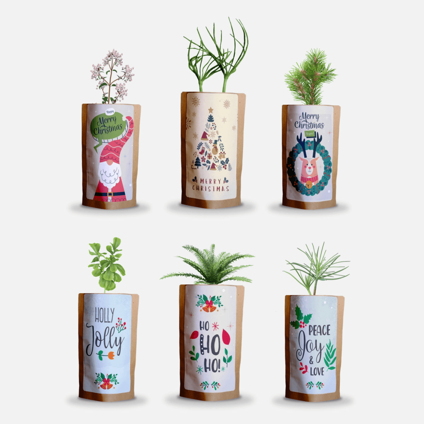 Christmas Greetings Tree Gift Pack, We Plant 60 More Trees - Disselt Designs