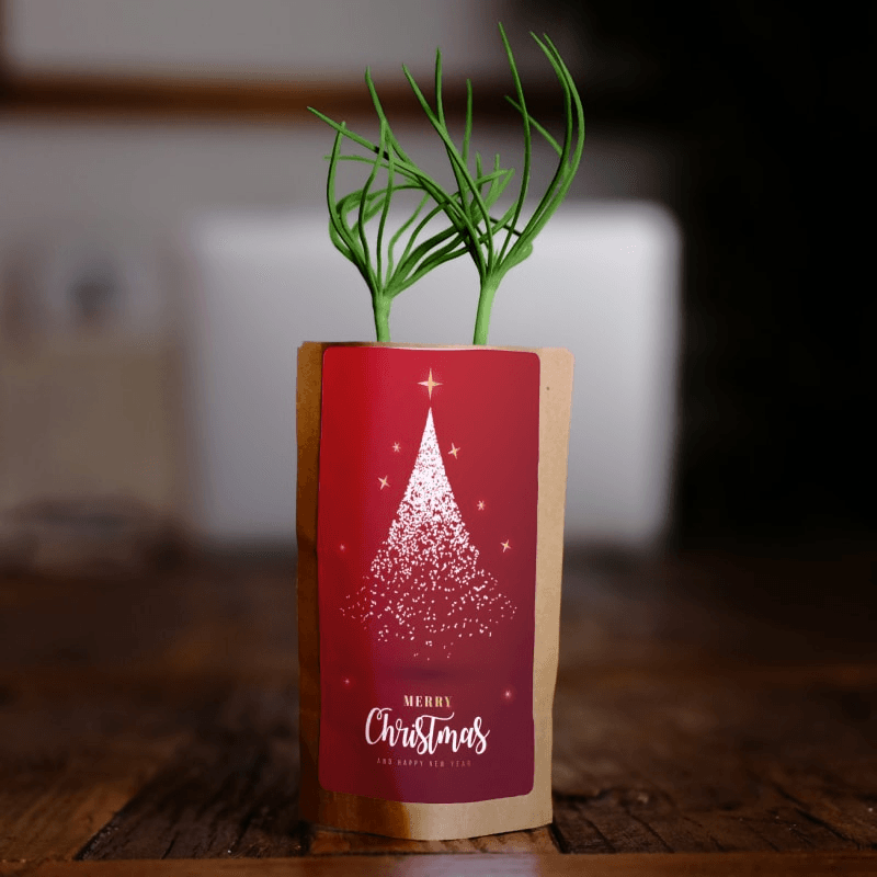 Christmas Stardust, Christmas Gift, We Plant 10 More Trees - Disselt Designs