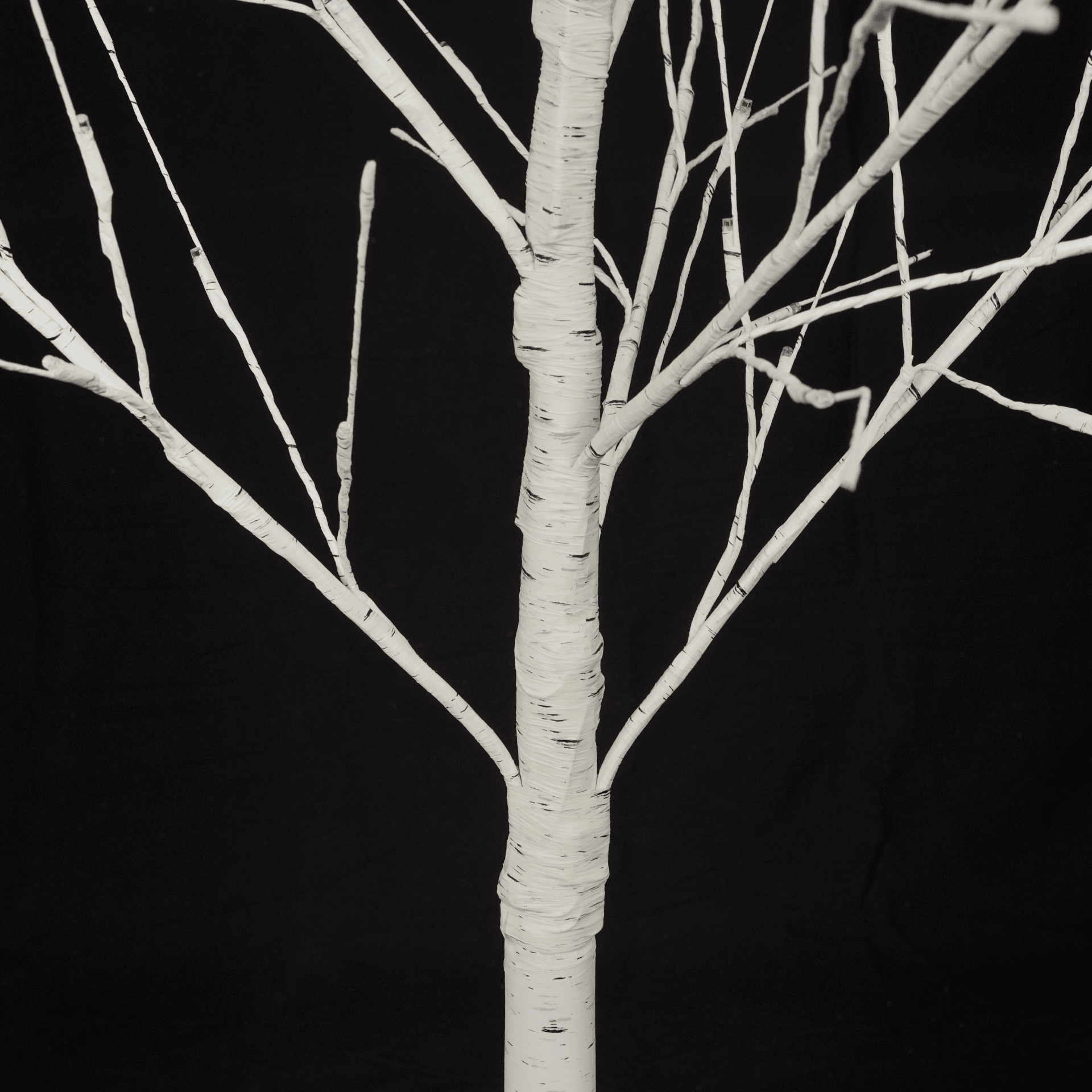 BIRCH TRIO | Set of Lighted Birch Trees, 4FT 48 LED/5FT 72 LED/6FT 96 LED - Disselt Designs