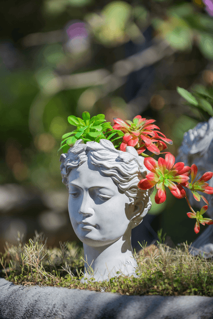 VISAGE | Greek Style Cement Head Planter - Indoor/Outdoor - Disselt Designs