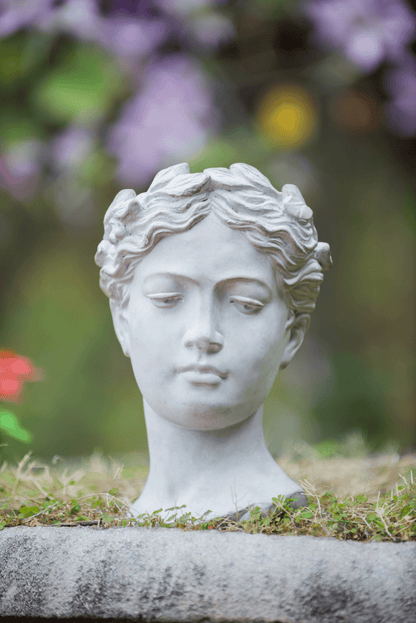 VISAGE | Greek Style Cement Head Planter - Indoor/Outdoor - Disselt Designs