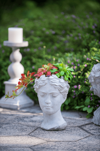 VISAGE | Greek Style Cement Head Planter - Indoor/Outdoor - Disselt Designs