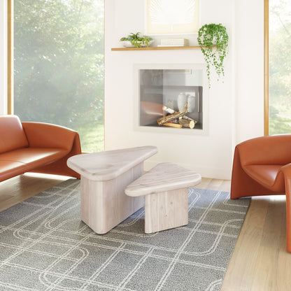 Navidic Coffee Table Set (2-Piece) Whitewashed - Disselt Designs