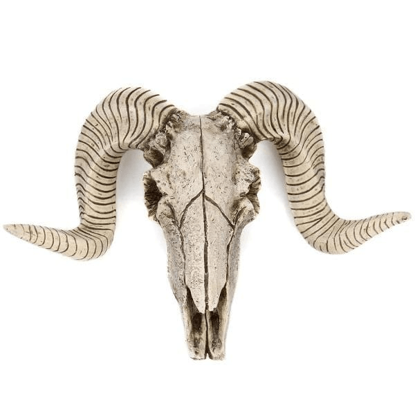 SKULL | Desert Skull Sculpture - Disselt Designs