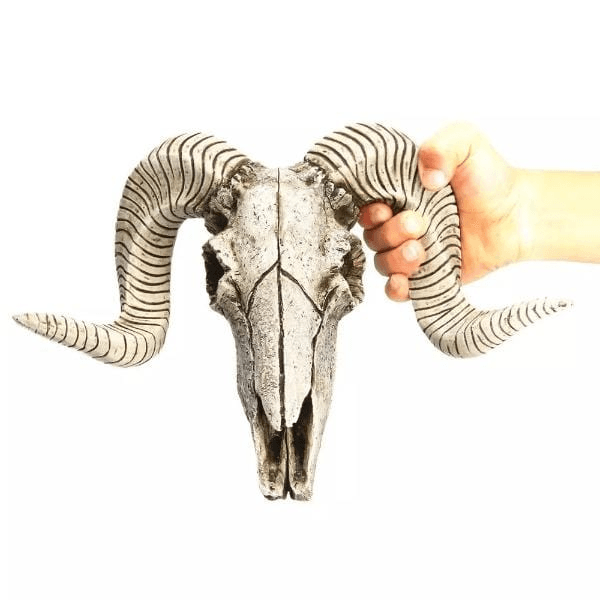 SKULL | Desert Skull Sculpture - Disselt Designs