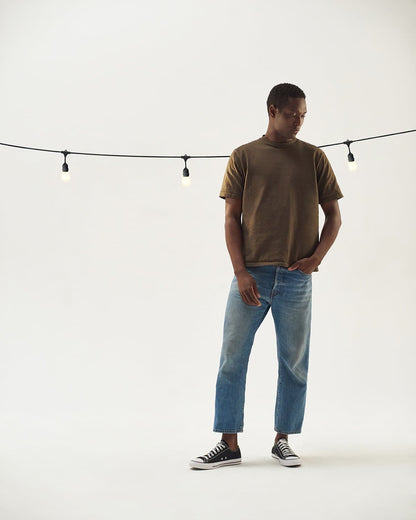 Ambience Pro LED Plug-in String Lights 1W