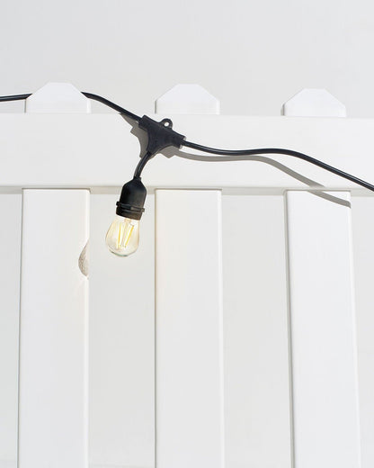 Ambience Pro LED Plug-in String Lights 1W