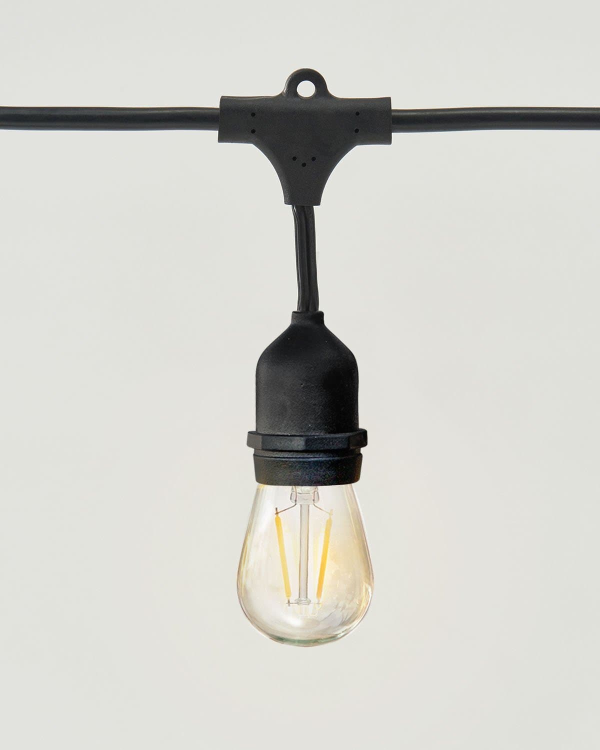 Ambience Pro LED Plug-in String Lights 1W