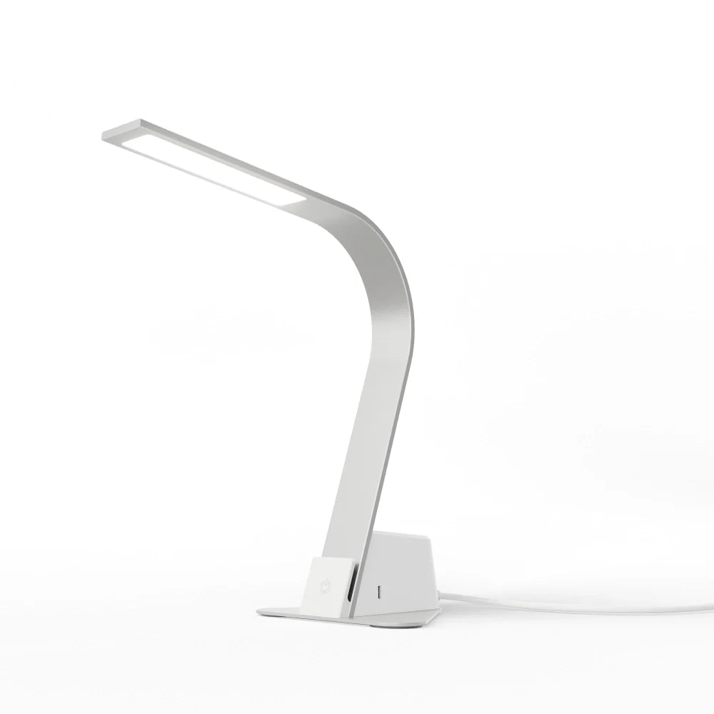 Brooklyn AC LED Task Light (Universal AC outlets) - Disselt Designs