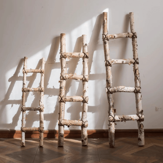 BIRCH | White Birch Wood Decorative Ladder - Disselt Designs