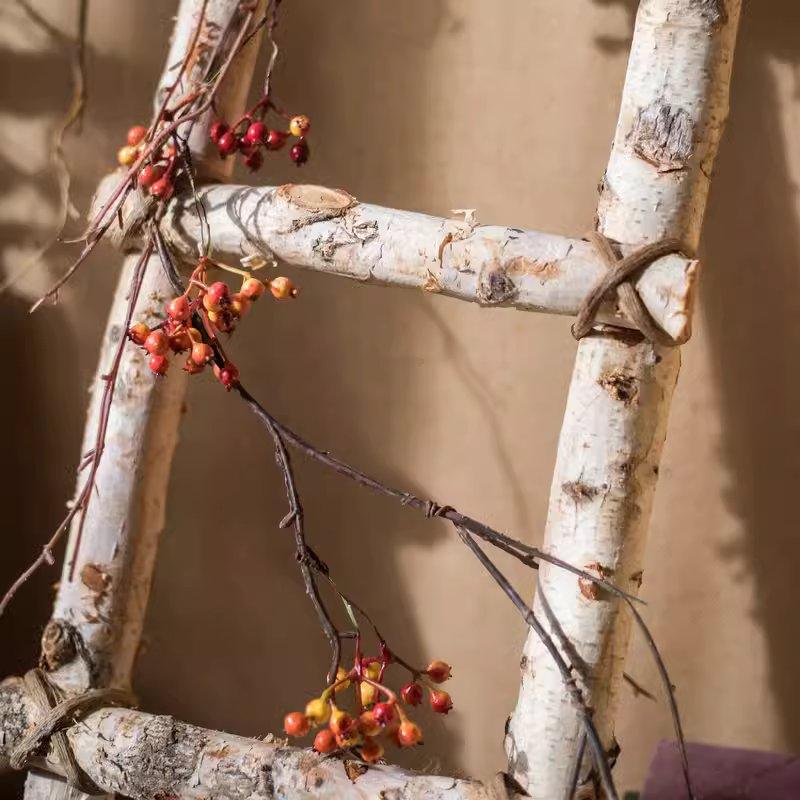 BIRCH | White Birch Wood Decorative Ladder - Disselt Designs