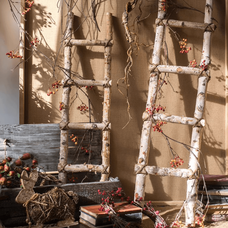 BIRCH | White Birch Wood Decorative Ladder - Disselt Designs