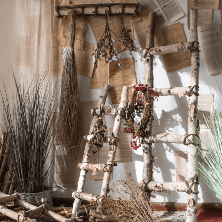 BIRCH | White Birch Wood Decorative Ladder - Disselt Designs