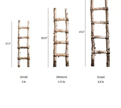 BIRCH | White Birch Wood Decorative Ladder - Disselt Designs