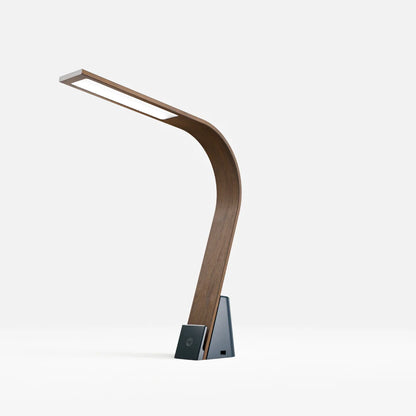 Brooklyn USB LED Task Light - Disselt Designs