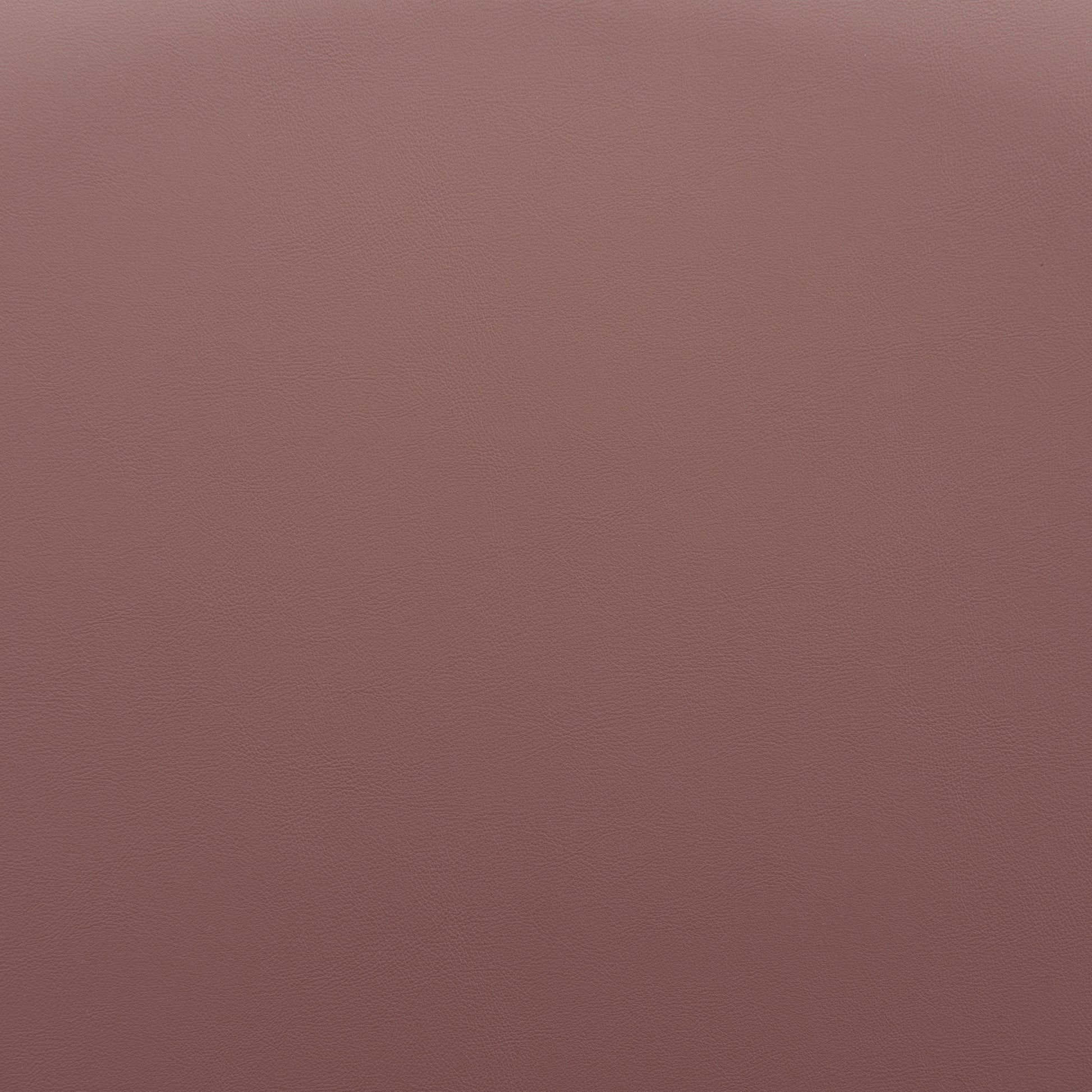 Elevate Barstool (Set of 2) Brown - Disselt Designs