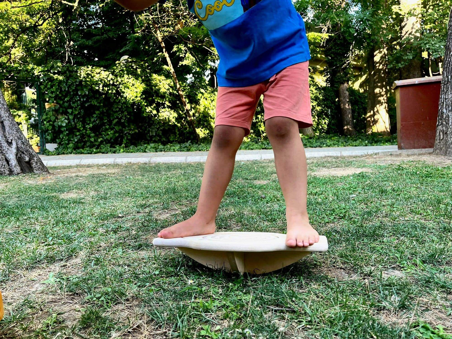 KIDS BALANCE | Maze Wooden Balance Board